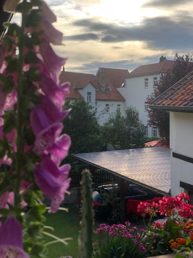 Am Mathildenbrunnen Gross Apartman Quedlinburg Kültér fotó